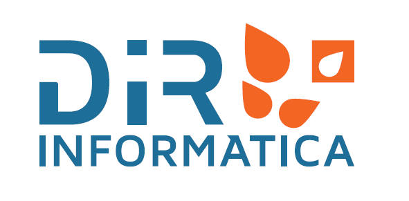 Logo-DIR-Informatica